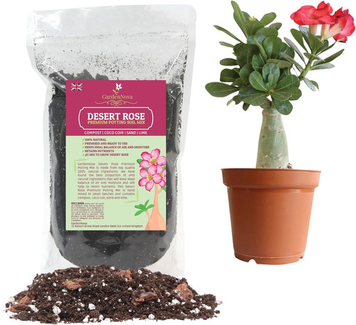 Premium desert rose potting - desert,
