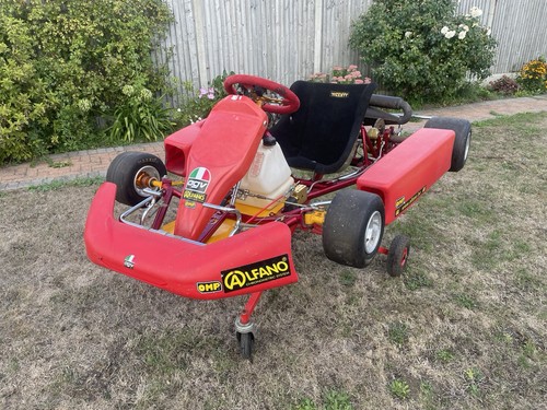 Rotax 125cc kart - a, solo