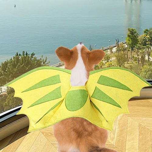 Dragon wing for - dragon,