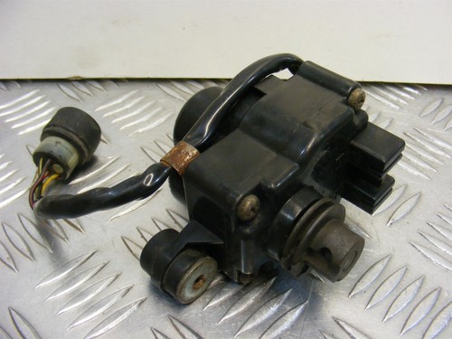 Yamaha fzr 250 - 250, exhaust