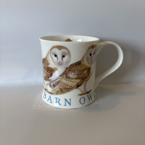 Dunoon barn owl - barn, wild