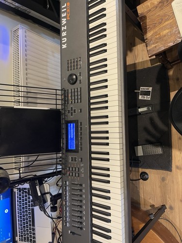 Kurzweil pc3a8 - kurzweil,