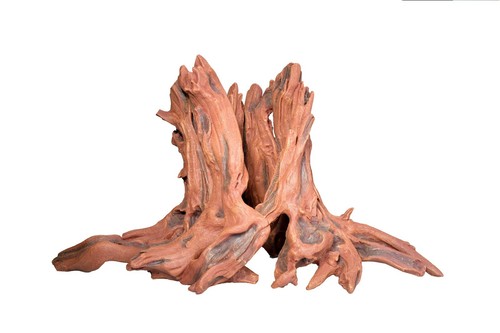 T24 entangled hollow - hollow, tree