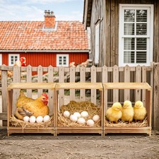 3 Hole Chicken Nesting Box Hen Chook Roll Away Poultry Coop Modular Laying Boxes