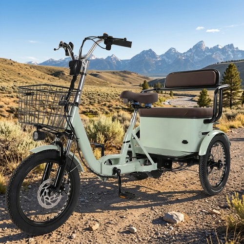 Electric tricycle adult - electric,