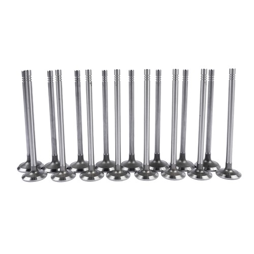 Intake exhaust valves for - valves,