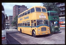 Original Bus Slide - United