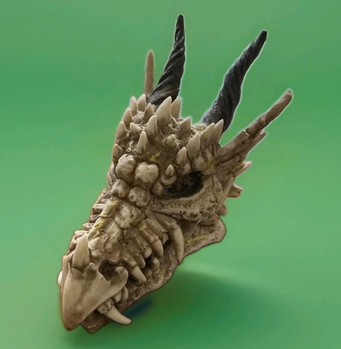 Dragon skull ornament art - dragon,