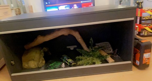 vivarium