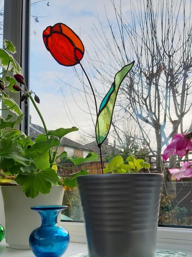 Stained glass tulip flower - stained,