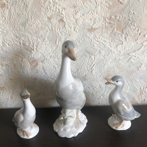 John jenkins ducklings with - 2,
