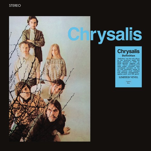 Chrysalis definition - definition, (vinyl)