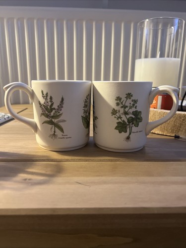 Set two mugs poole - set, of