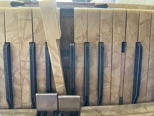 Piano accordion - piano,