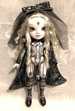 Rainbow high Shadow high