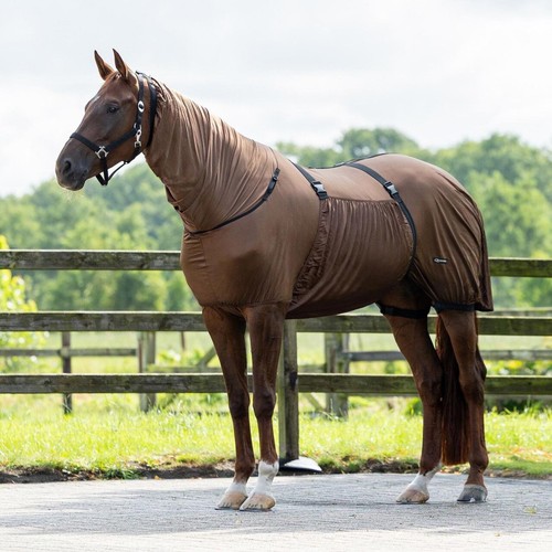 Horse sweet itch summer - horse,