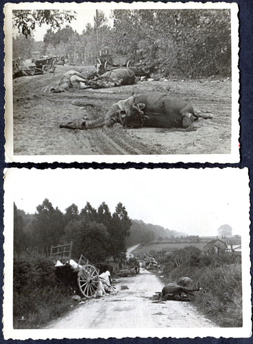 I13 ww2 german photos - i13/9,