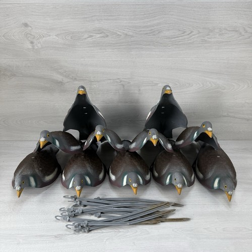 Sport plast half pigeon decoy - plast,