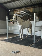 Horse Stable Wash Panel Tie