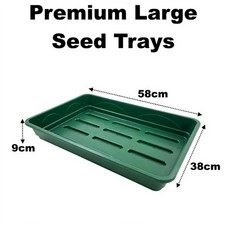 Large Premium 58cm Solid Seed