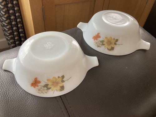 Vintage jaj pyrex autumn - 2,
