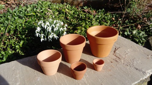 Terracotta clay plant pots - terracotta,