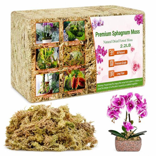 Premium sphagnum moss - premium, –