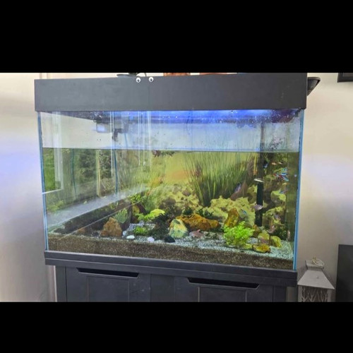 Glass rectangular freshwater - glass,