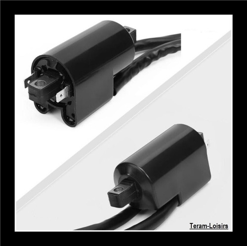 Ignition coil for - ignition,