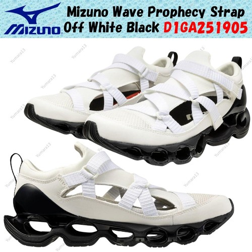 Mizuno wave prophecy - wave,
