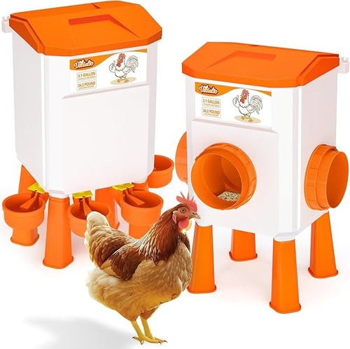 Chicken feeder and waterer - and,