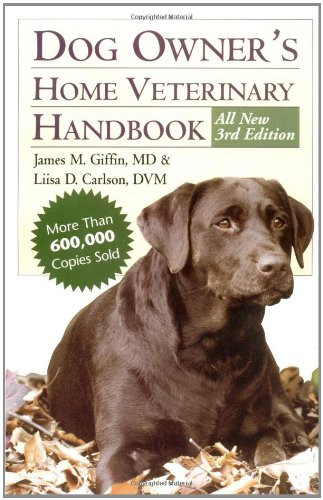 Dog owner home veterinary - dog, owner's