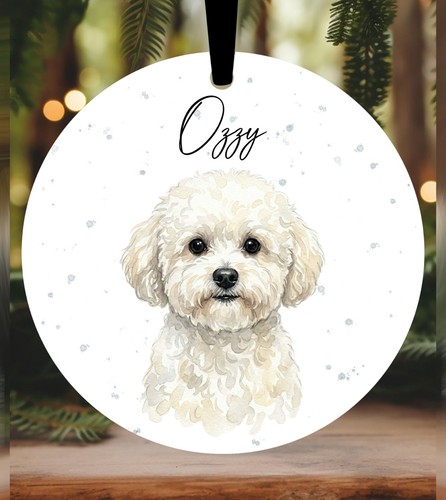 Bichon frise dog christmas - dog,