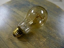Edison Globe Light Bulb, 25