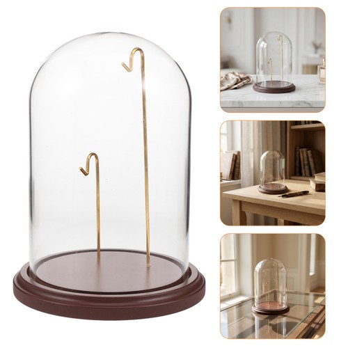 Glass dome display - display, case