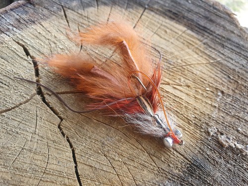 Crayfish fly craw zonker red - zonker,
