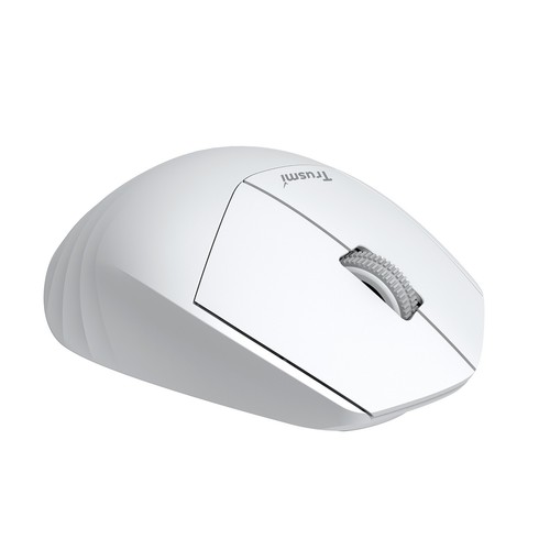 Bt ergonomic - 2.4g/bt,