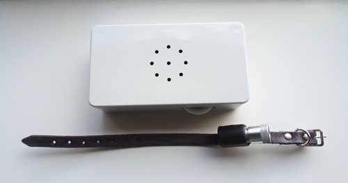 8ft ferret finder and collar