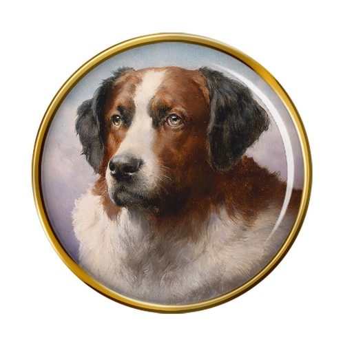 Bernard dog by carl - st.,