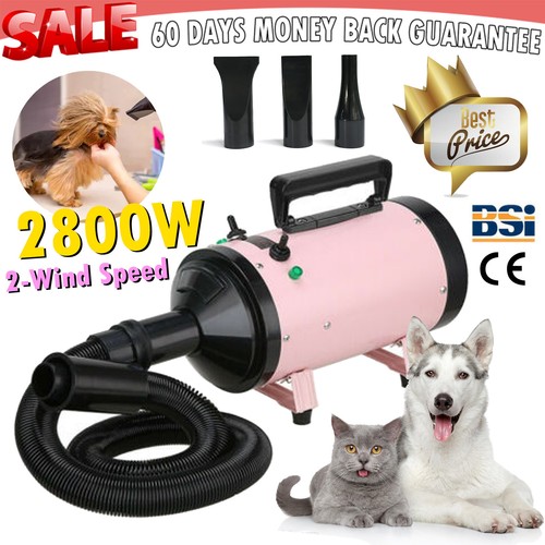 2800w dog hair dryer - 2800w, grooming