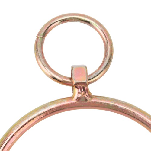 New cow nose - 2x, rings