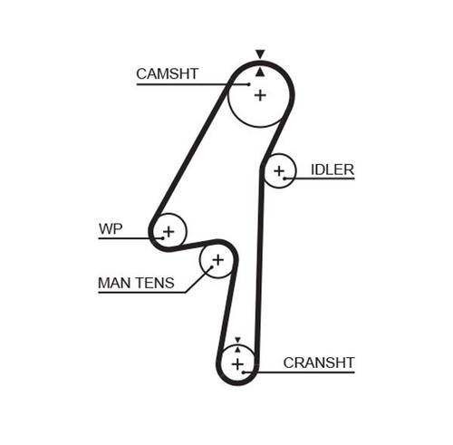 Timing belt gates - belt, 5580xs