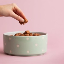 Mason Cash Polka Dot Sage