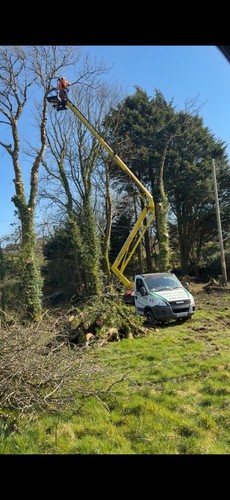 Iveco cherry picker truck - iveco,