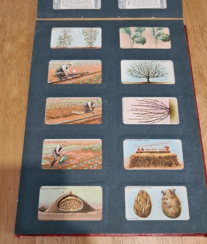 Wills cigarette cards - cigarette,