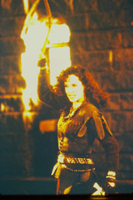 THE NEW ADVENTURES OF ROBIN