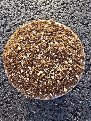 10lt carnivorous plant soil - carnivorous,