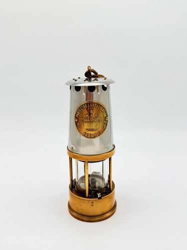 The protector lamp - lamp, lighting