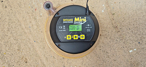 Brinsea mini advance automatic - advance,