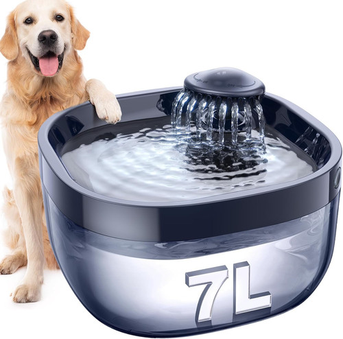 8gal dog water - dog,